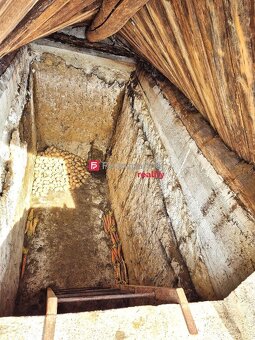 3 izbový dom s veľkým pozemkom v obci Radošina - 18