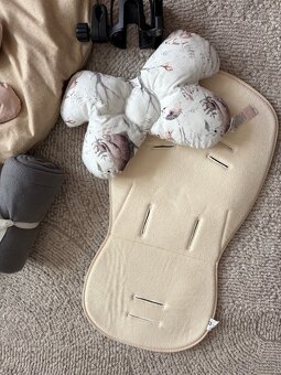 Krásny kočik Anex ETYPE Caramel - 18