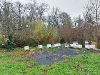 Výrazne znížená cena 4 izbový rodinný dom v Tomášikove - 18