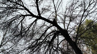 LARES REALITY: Slnečný, teplý 3 izb. byt s balkónom, A. Stod - 18