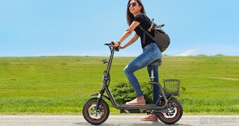 Elektrická kolobežka Bogist 12",500W,13Ah,48km/h,40km - 18