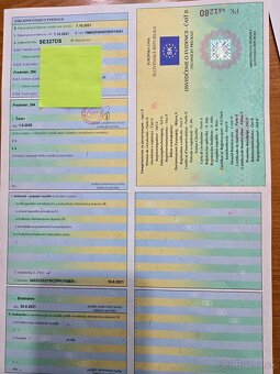 Škoda Kamiq 1.0 TSI Ambition 5.st.manual. 10.2021 - 18