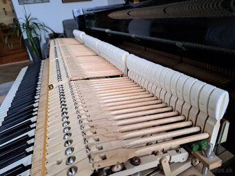 Klavír - křídlo August Förster - 18