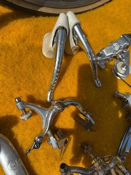 Sadu Campagnolo Victory - 18