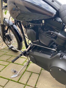 Harley Davidson-softail - 18