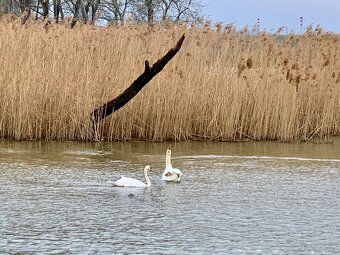 Štýlový hausbót na Dunaji je na predaj - 18