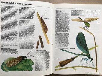 Bukovský, Psy, Golf Fyzika, Malý atlas húb, Slovenský futbal - 18