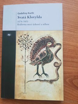 Chlapec,tory sa hral s Bohom,Carlo Acutis,Don Bosco - 18