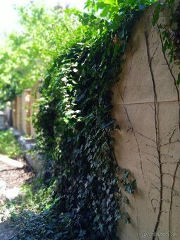 Remeselné a záhradnické práce . - 18