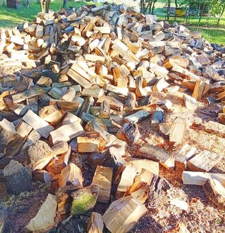 Agát, Agátové ploty - 18