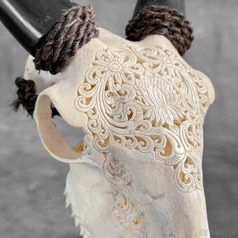 Autentická biela vyrezávaná lebka kozy - motív veľký lotos - 18