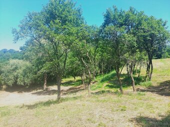 PREDAJ DOM s lesom 7714 m2 Bánovce nad Bebr. - 18
