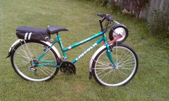Elektrobicykel +prerobenie na elektro - 18