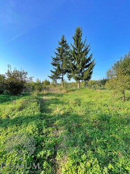 RD v Moravskom Lieskovom, pozemok 1168m2, rozsiahla rekonštr - 18