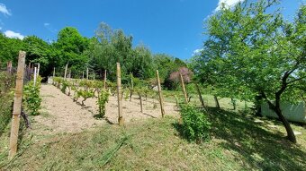 ZÁHRADNA CHATA S VINICOU, JABLONOV NAD TURŇOU - 18