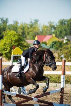 Triedenie sedlovne - 18