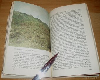 Bažanti a ostatní hrabaví - 18