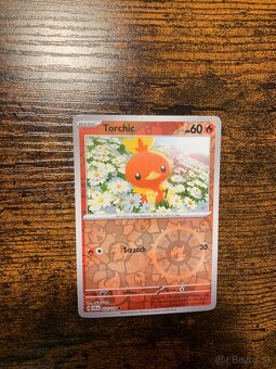 Pokemon karty - 18