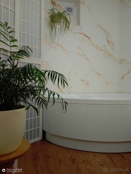 Benátsky štuk, dekoratívne omietky a nátery. San Marco - 18