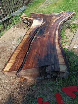 Orechove solitérne fosne na zaliatie živicou - 18