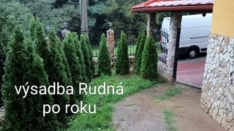 Tuja Smaragd, vavrínovec, červienka - Kežmarok - 18
