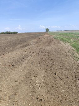 ♻️Čistenie pozemkov, kosenie, mulčovanie.♻️ - 18