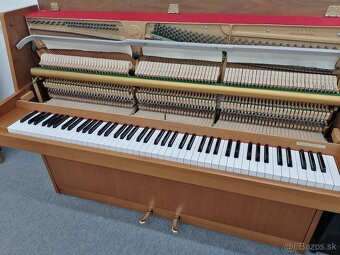 Hohner Piano pre viacero generácie - 18