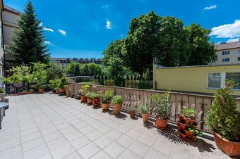 2 izbový byt, prenájom, Košice - ul. Zimná - 18