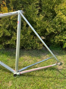 Colnago Arabesque Regal - 18
