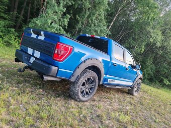 Ford f150 LPG - 18