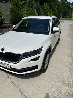 Kodiaq - 18