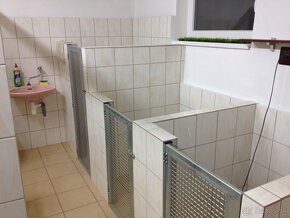 Stavebná činnosť, murárske práce, výkopové práce,autodoprava - 18