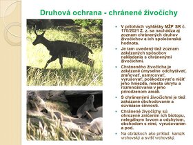 Ochrana prírody na Slovensku - audiovizuálna pomôcka - 18