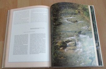 Lov dravých rýb a jeho techniky - 18