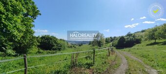 HALO reality - REZERVOVANÉ (prihláste sa na čakaciu listinu) - 18