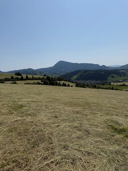 Ponúkam na predaj seno - 18