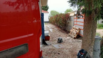 Tuja Smaragd, vavrínovec, červienka -Banská Bystrica a okoli - 18
