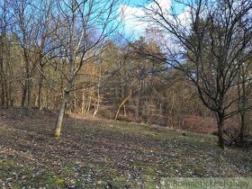Pozemok obkolesený lesom nad Nimnicou na relax v prírode - 18