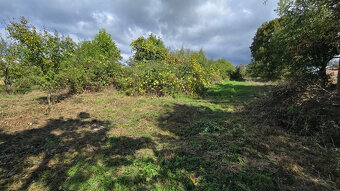 Dve chalupy v malebnej obci Devičany s pozemkom 2979 m2 - 18