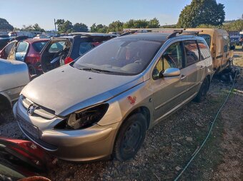 Peugeot 307 - 18