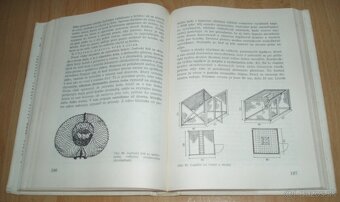 Zajac a králik - 18