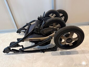 Predam kocik Camarelo - 18