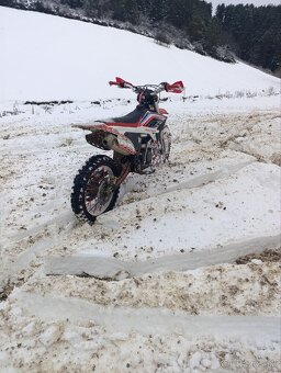 Dirt bike Apollo lizard RFZ 250 - 18