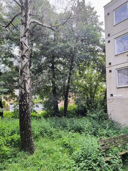 Predam pozemok v meste Šaštín-Stráže - 18
