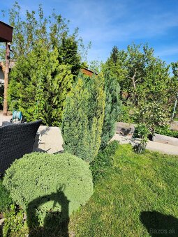 Predám 2 chatky - 18