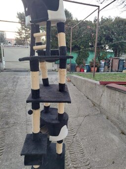 Macacie veci - 18