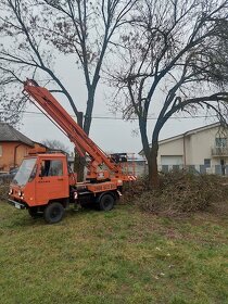 Pílenie a Orezávanie stromov - 18