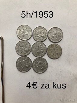 Mince 10 - 18