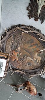 Trofeje a preparáty - 18