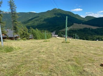 Kosenie-mulčovanie pozemkov//Pílenie//Orez stromov - 18